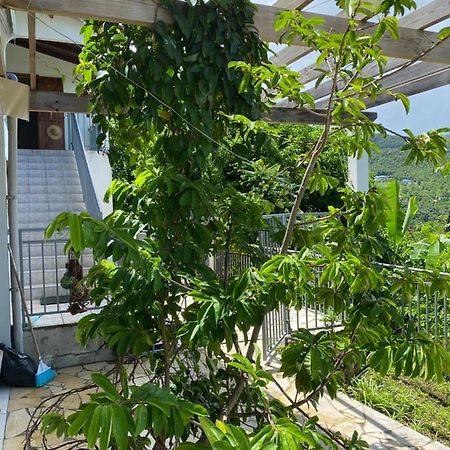 Bas De Villa Courbaril Bouillante Dış mekan fotoğraf