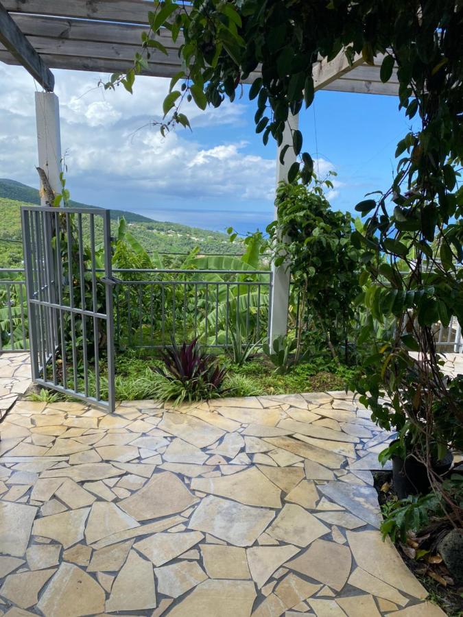 Bas De Villa Courbaril Bouillante Dış mekan fotoğraf